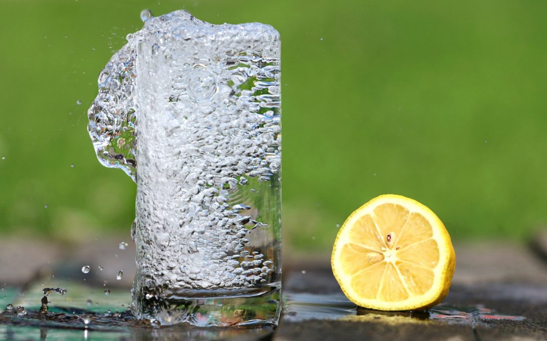 Wasserbelebung im Zitronen-Selbsttest